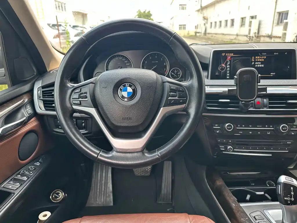 BMW X5 (Import) — миниатюра 10