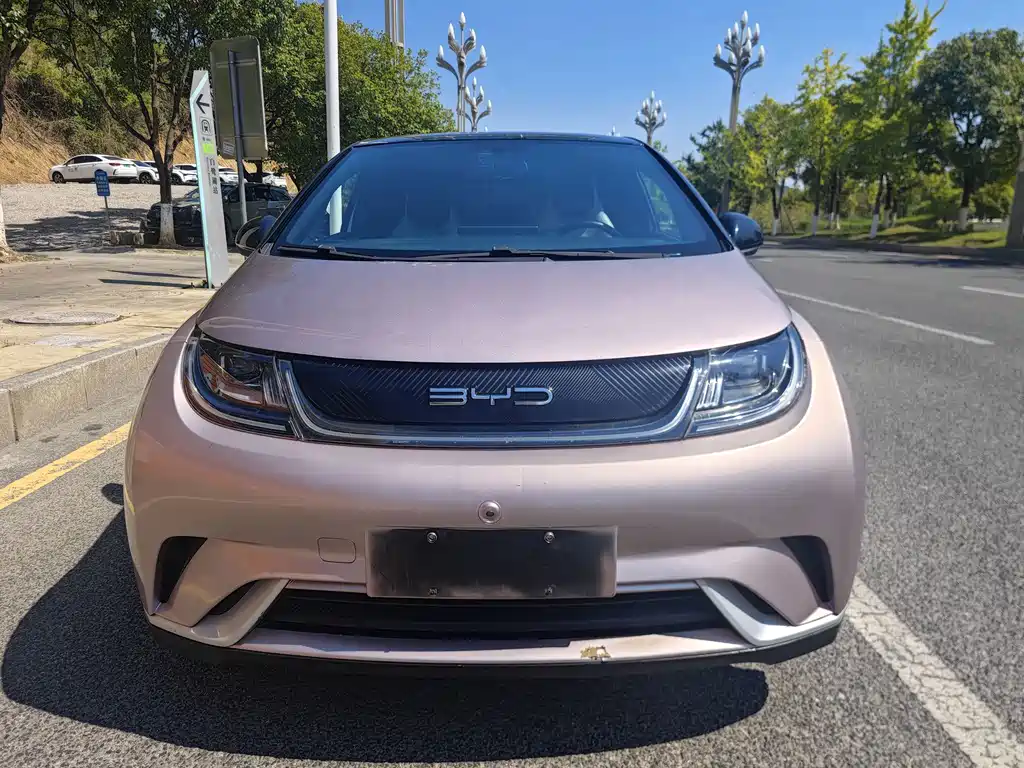 BYD Dolphin — миниатюра 2