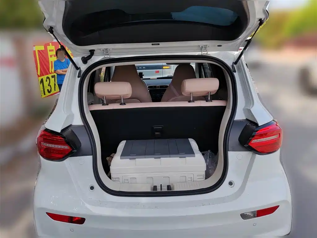 Leapmotor T03 2025 310