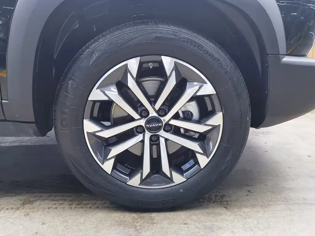 Haval Big Dog — миниатюра 17