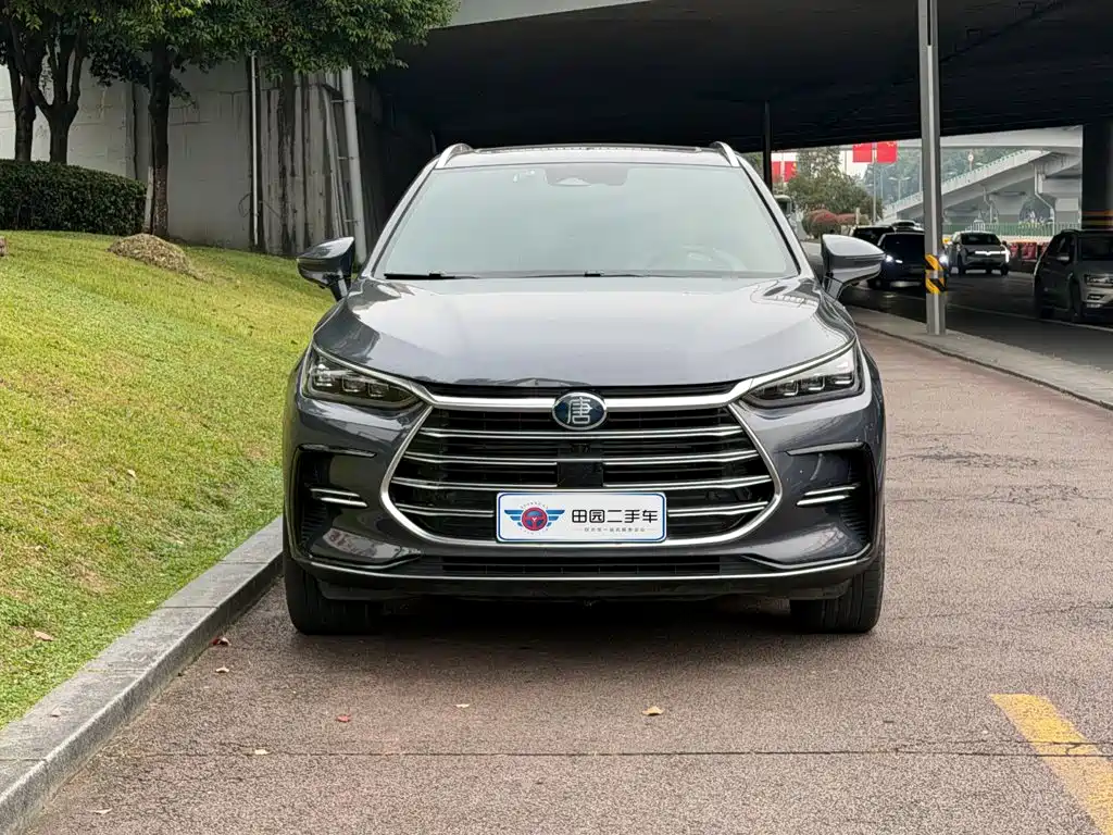 BYD Tang New Energy — миниатюра 2