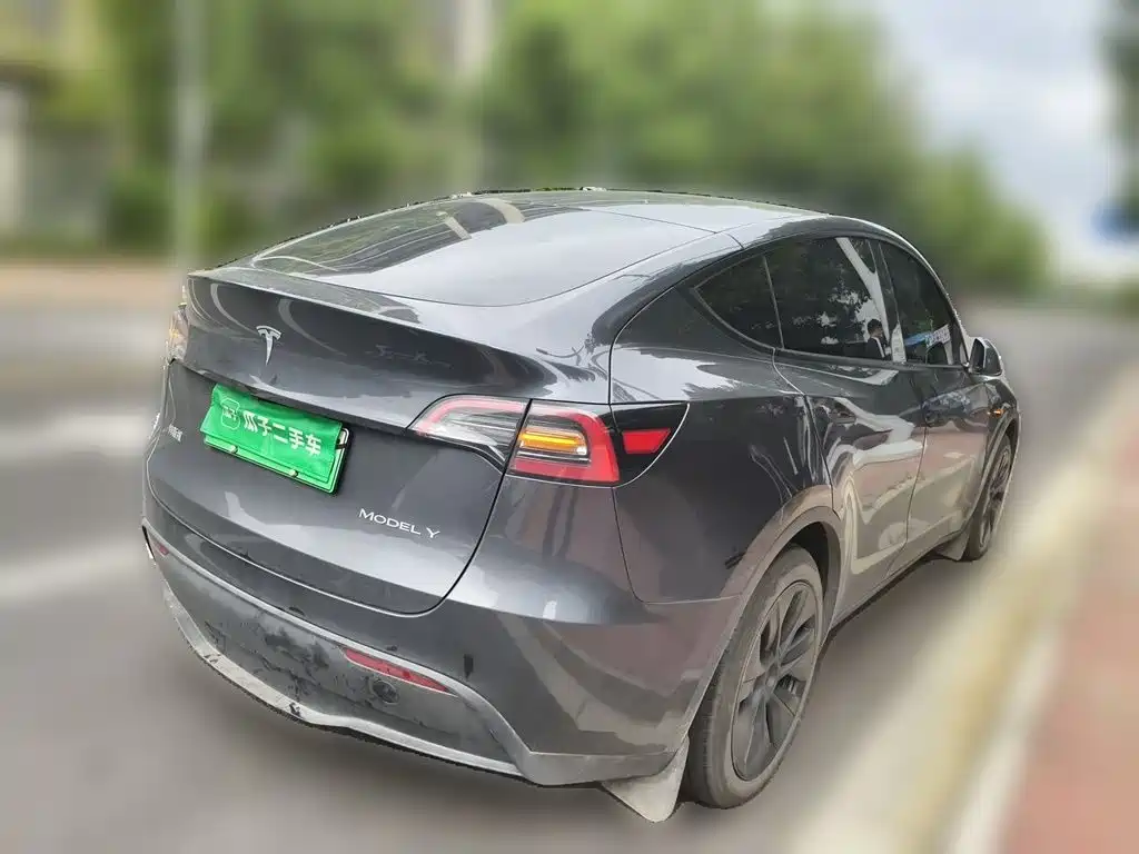 Tesla Model Y — миниатюра 4