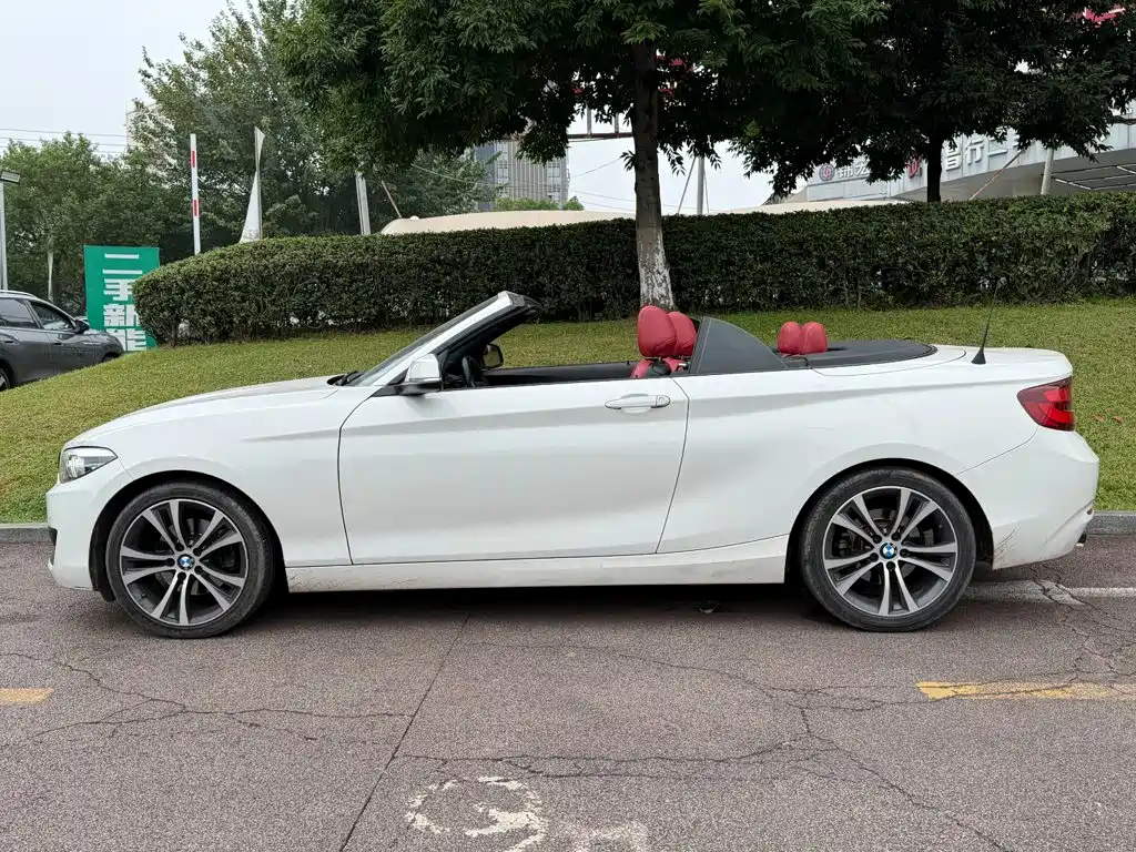 BMW 2 Series (Import) — миниатюра 3