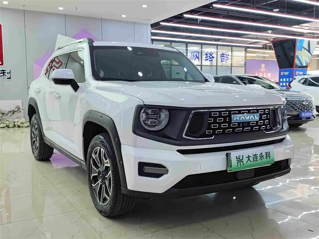 Haval Big Dog PLUS New Energy — миниатюра 3