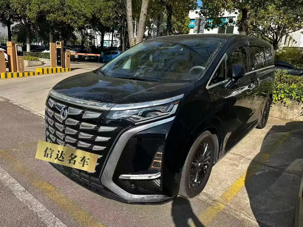 Denza Denza D9