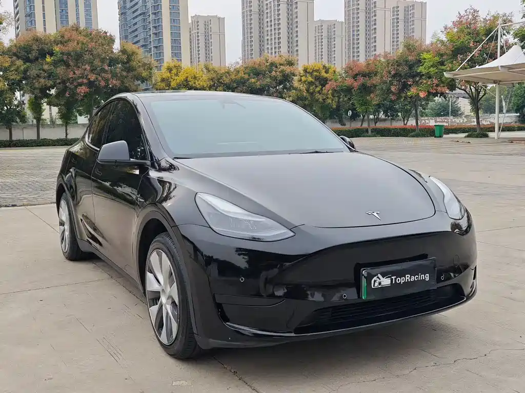 Tesla Model Y — миниатюра 3