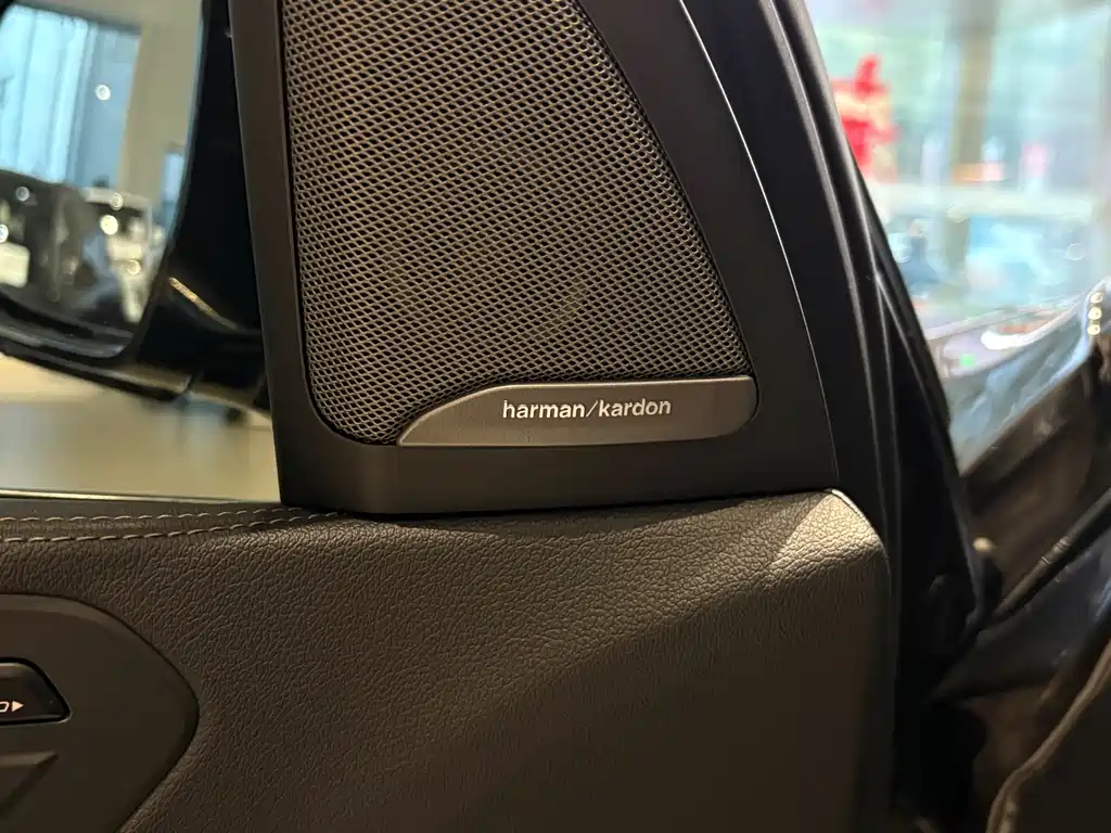 BMW X7 — миниатюра 8