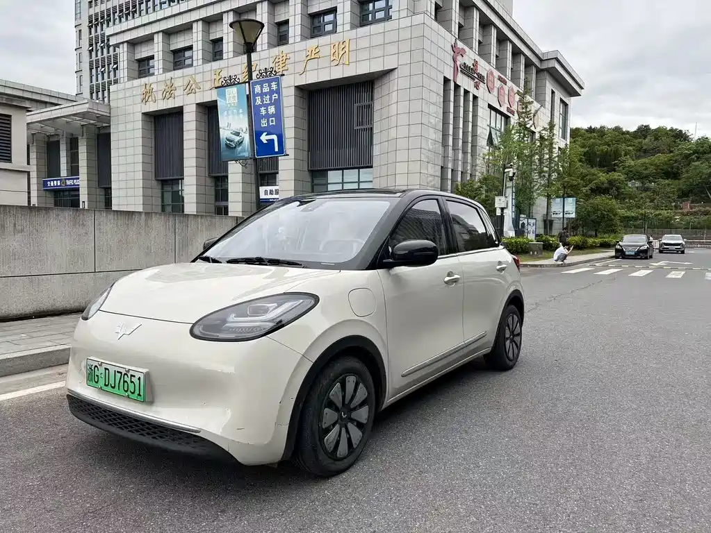 Wuling Bingo 2024