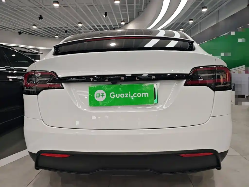 Tesla Model X — миниатюра 6