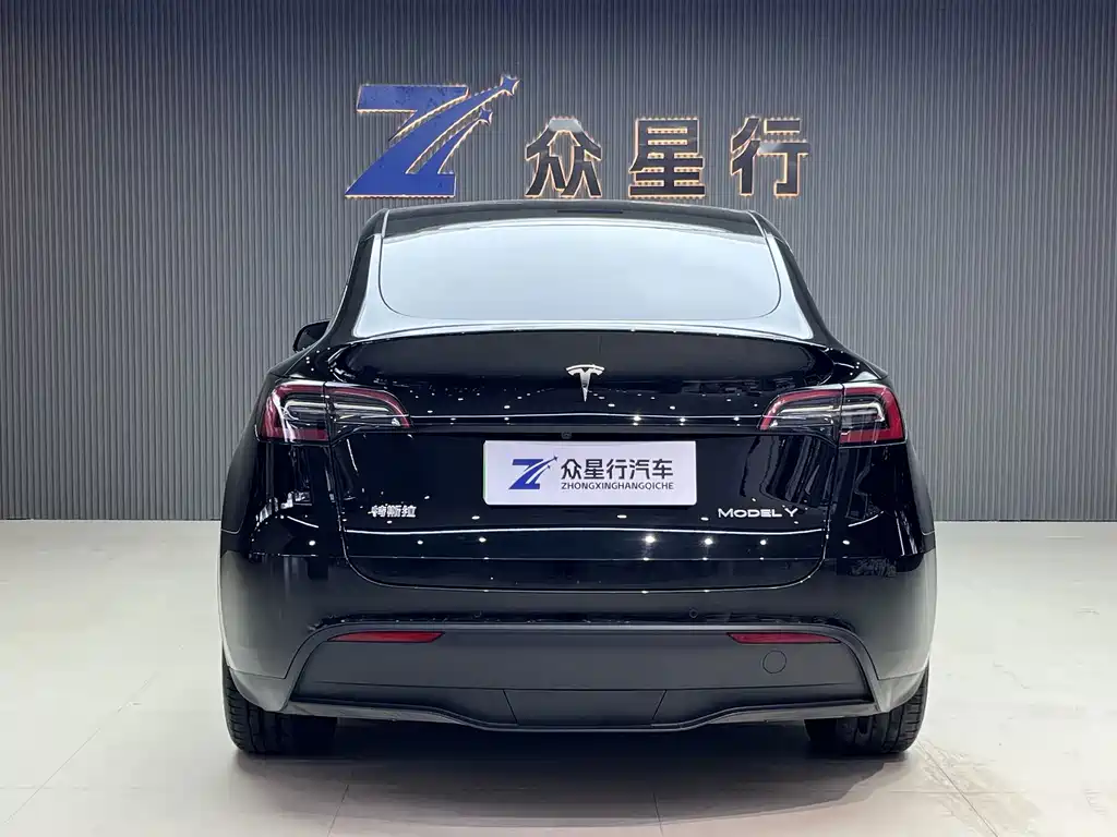 Tesla Model Y — миниатюра 3