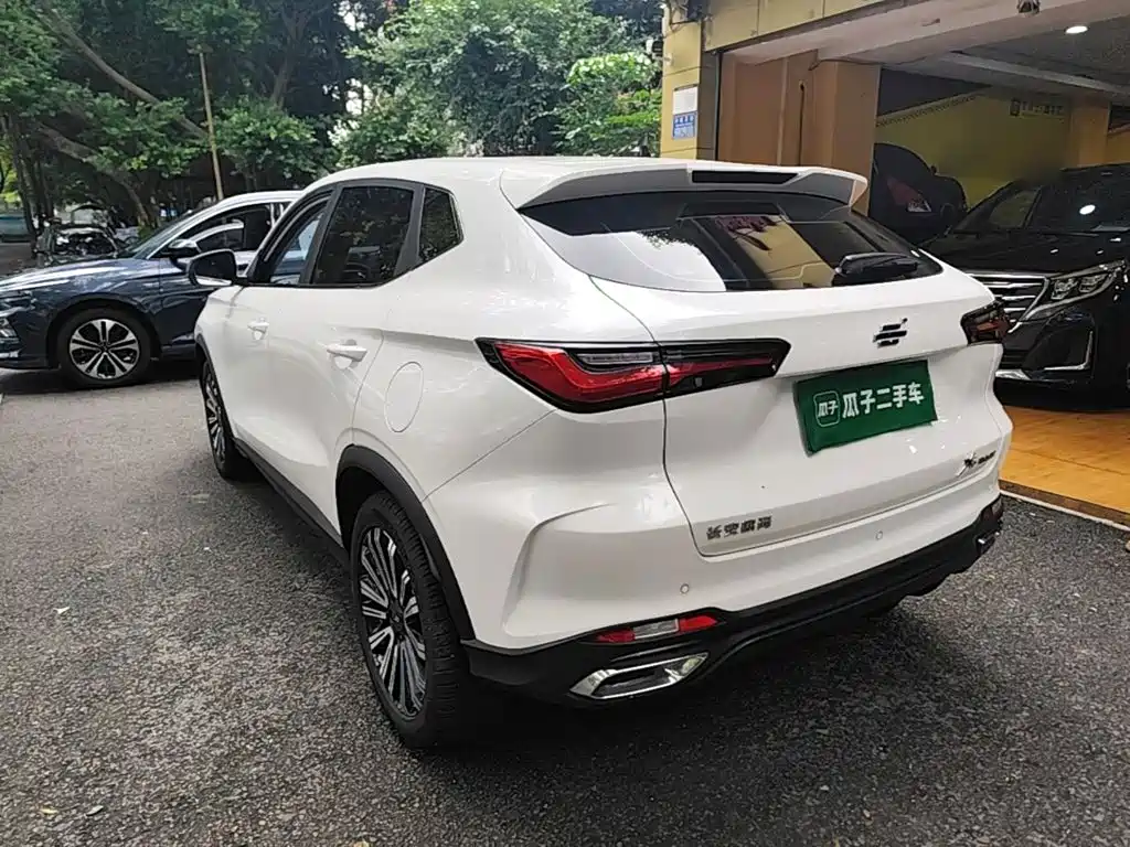 Oshan Oushang X5 — миниатюра 5