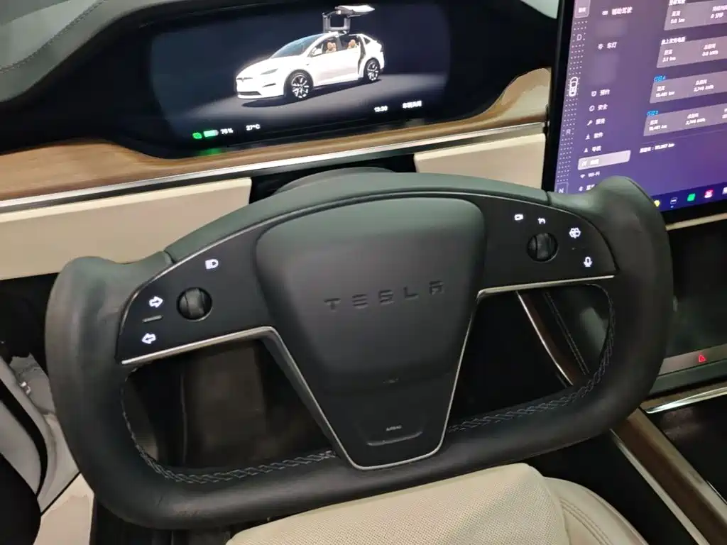 Tesla Model X — миниатюра 11