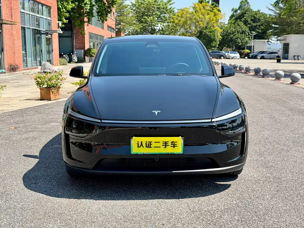 Tesla Model Y — миниатюра 8