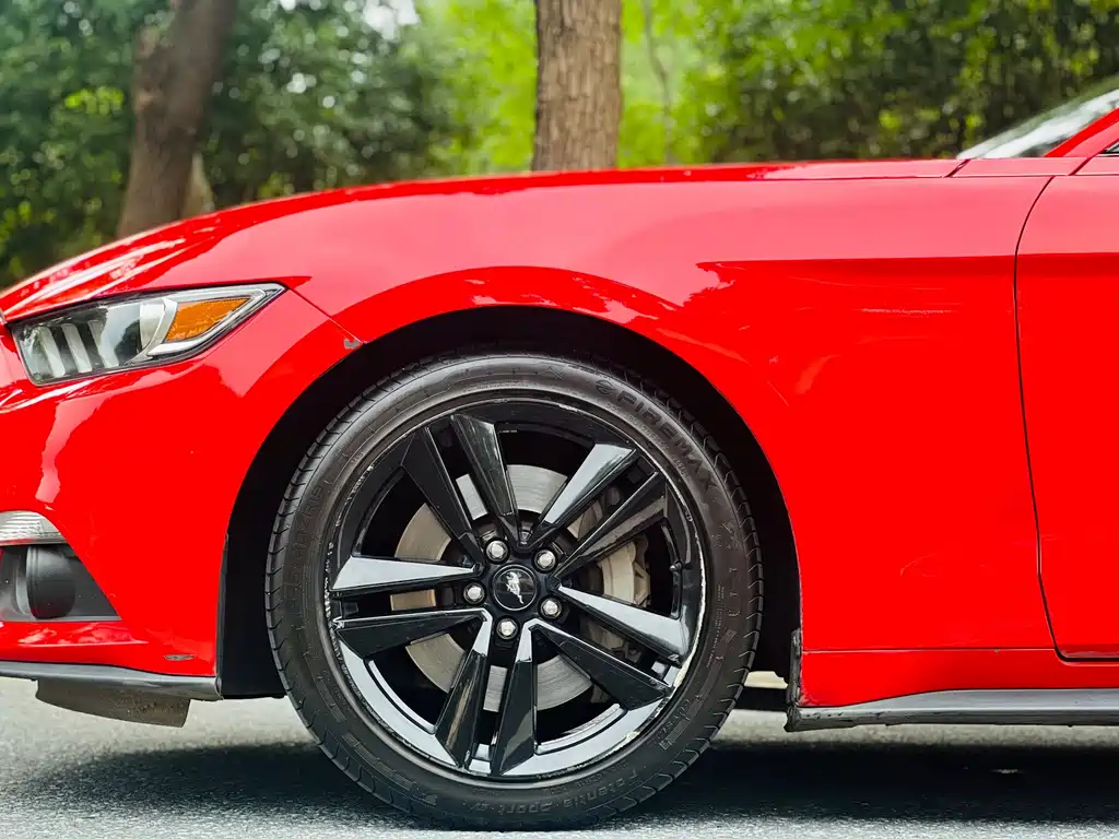 Ford Mustang — миниатюра 10