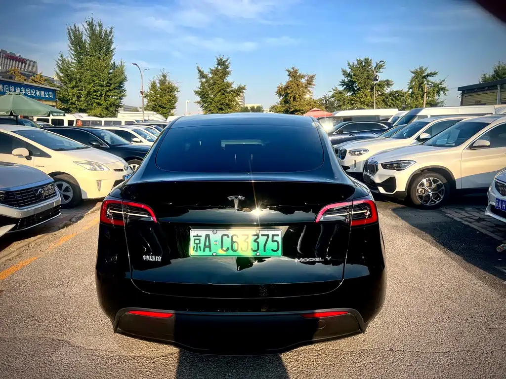 Tesla Model Y — миниатюра 6