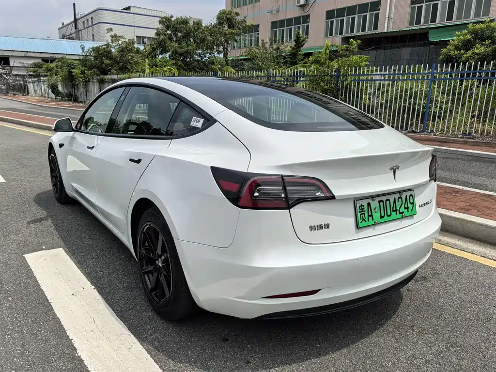Tesla Model 3 2021 3D1