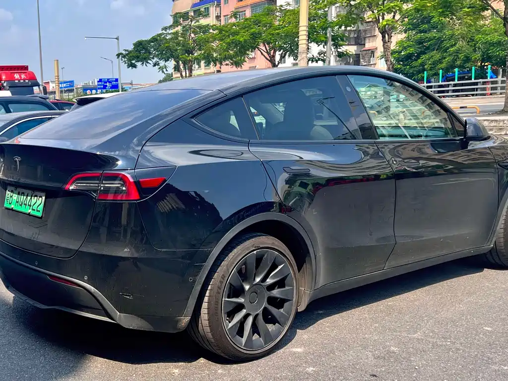 Tesla Model Y — миниатюра 6