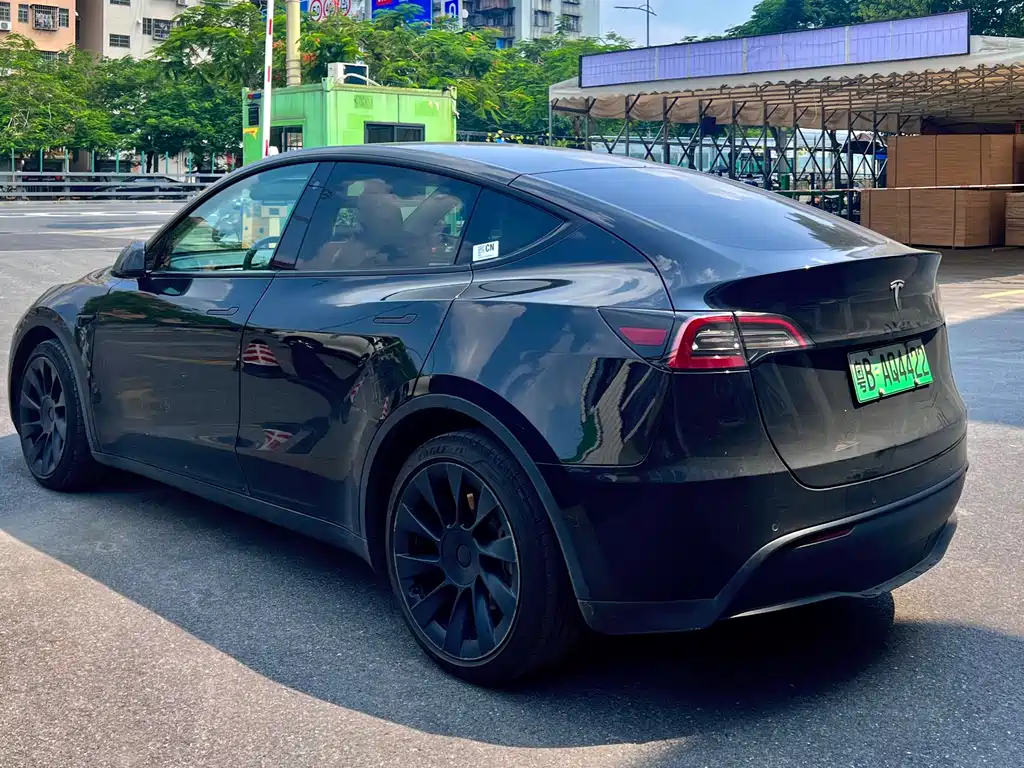 Tesla Model Y — миниатюра 4