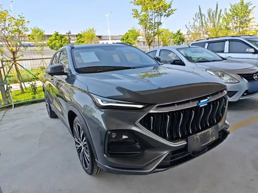 Oshan Oushang X5 — миниатюра 4