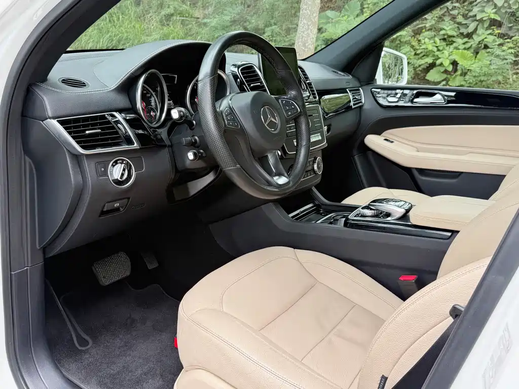 Mercedes-Benz GLE (Import) — миниатюра 4
