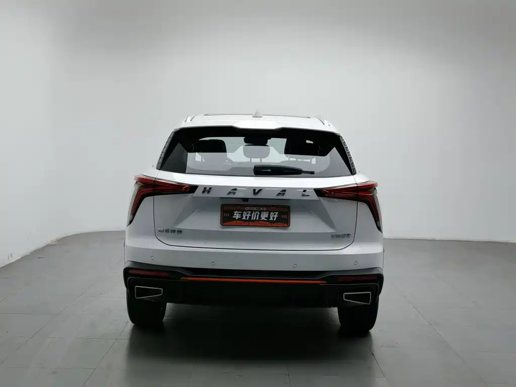 Haval Shenshou — миниатюра 4