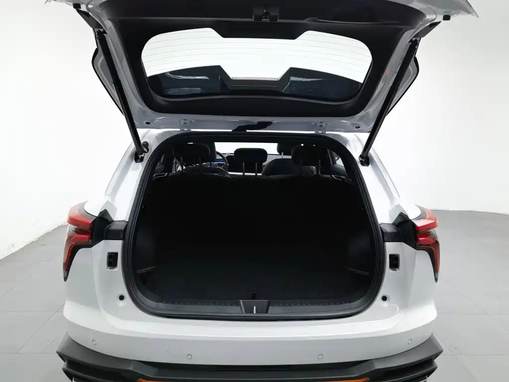 Haval Shenshou — миниатюра 16