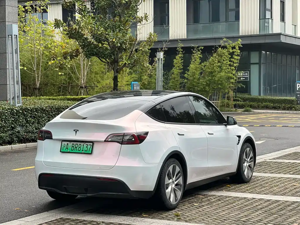 Tesla Model Y — миниатюра 6