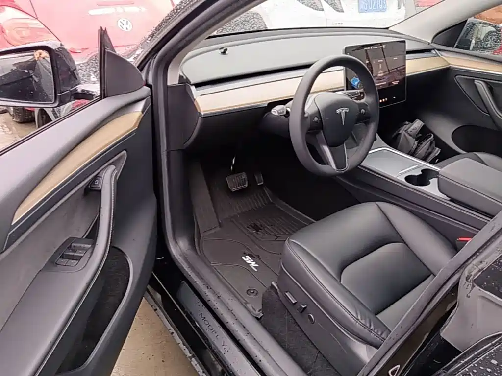 Tesla Model Y — миниатюра 16