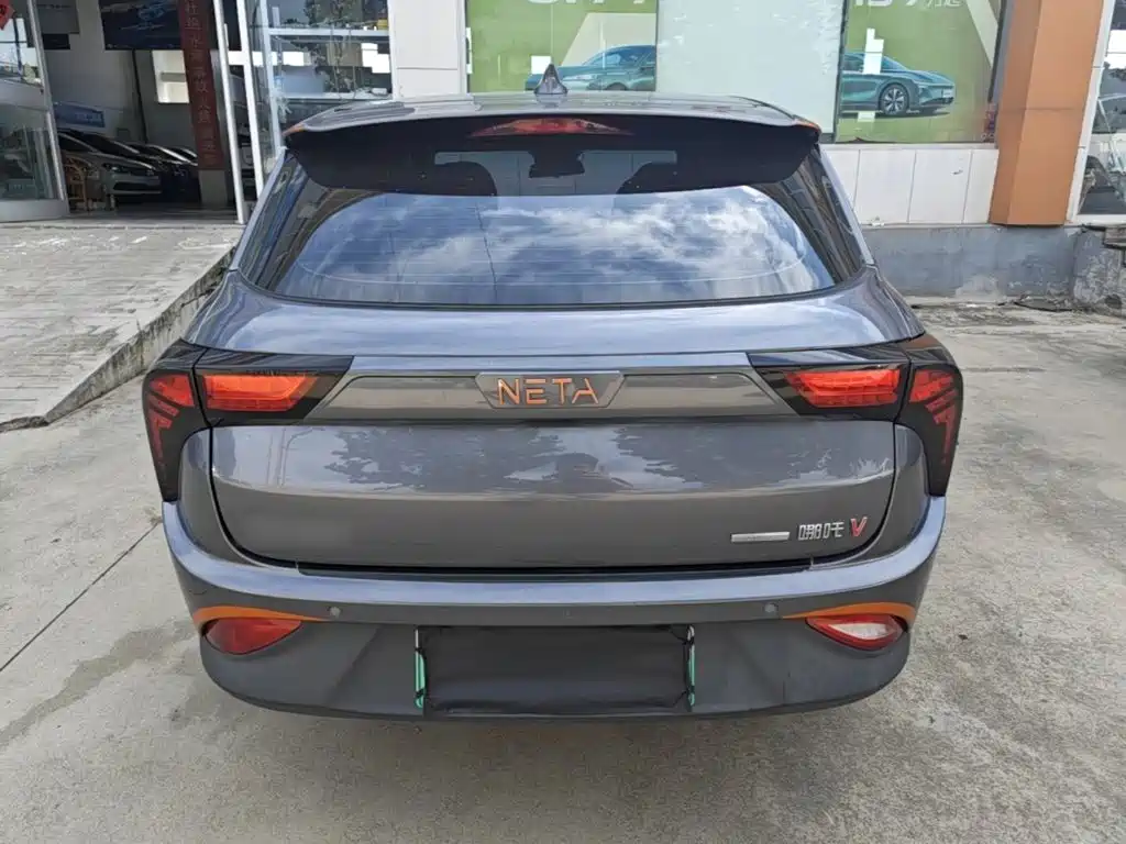 Neta Neta V — миниатюра 6