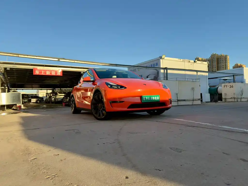 Tesla Model Y — миниатюра 3