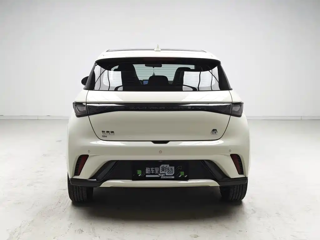 BYD Dolphin — миниатюра 5