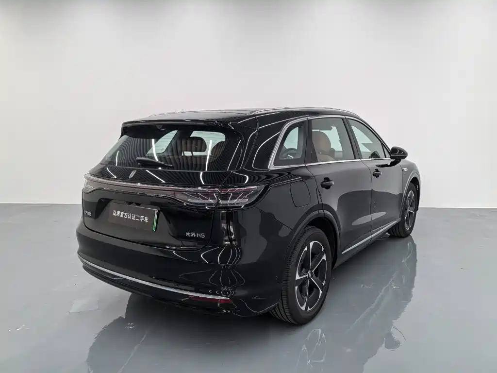 Сангтан Sangtang H5 — миниатюра 7