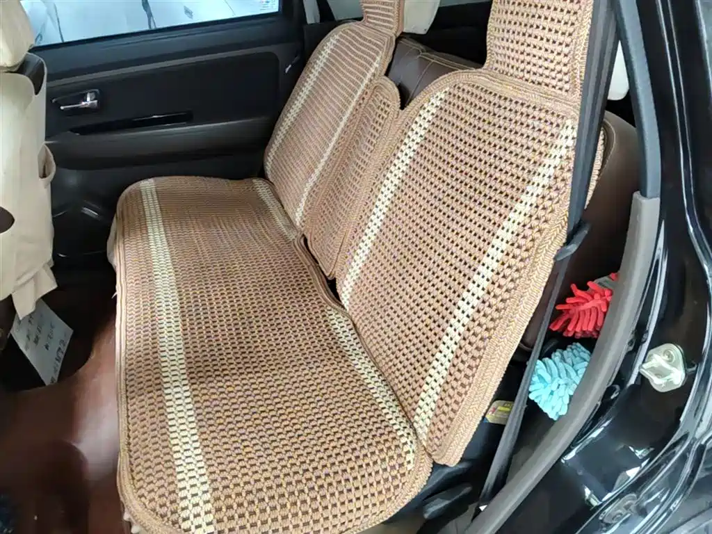 FAW Senya S80 — миниатюра 17