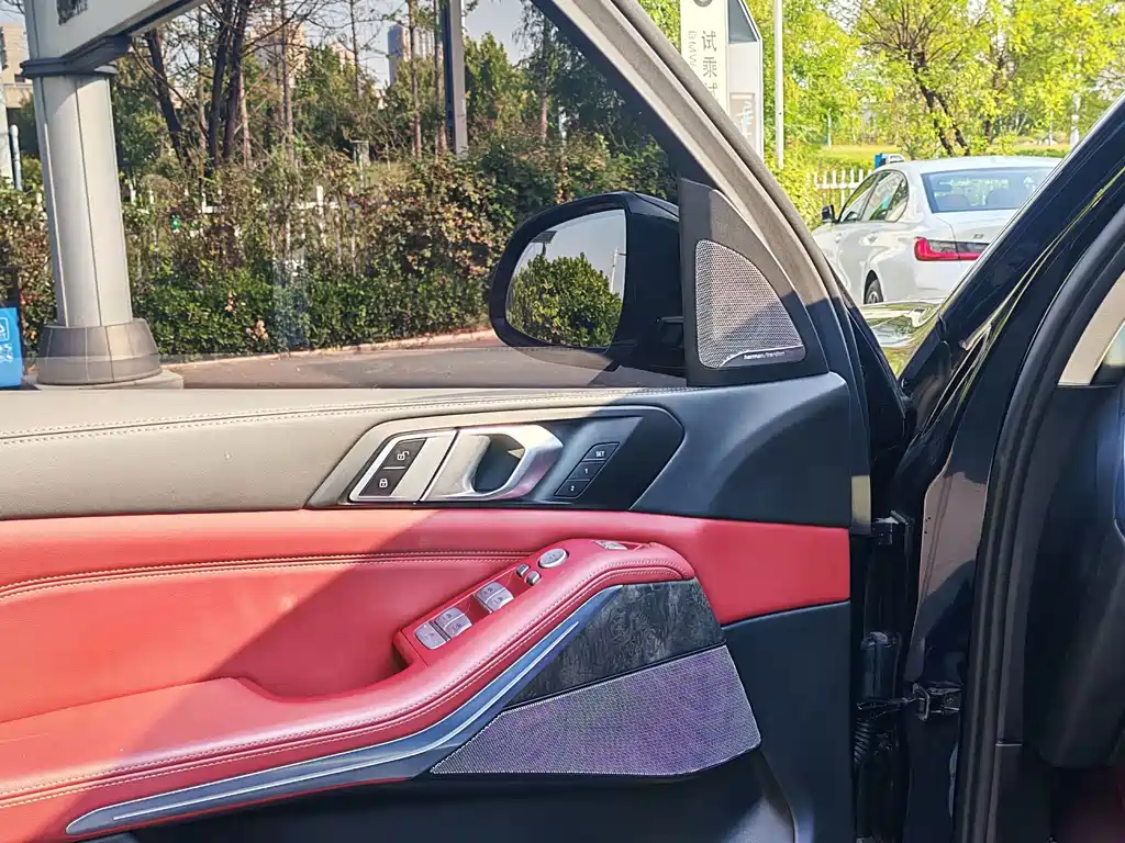 BMW X5 — миниатюра 11