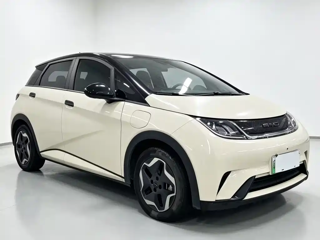 BYD Dolphin — миниатюра 3