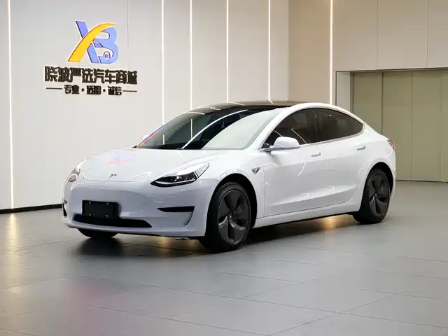 TESLA MODEL 3 2020