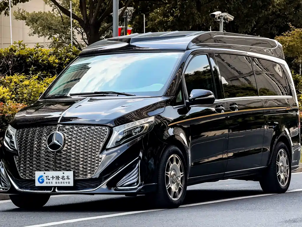 巴菲特汽车 巴菲特S 2023