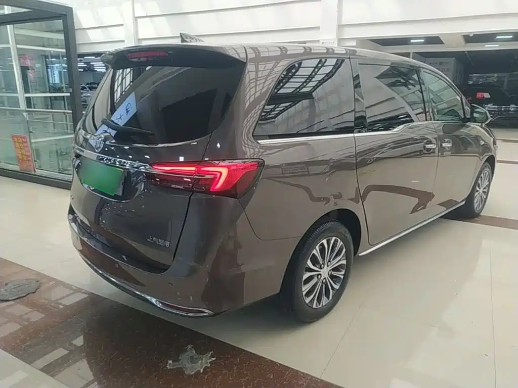 Buick GL8 — миниатюра 7