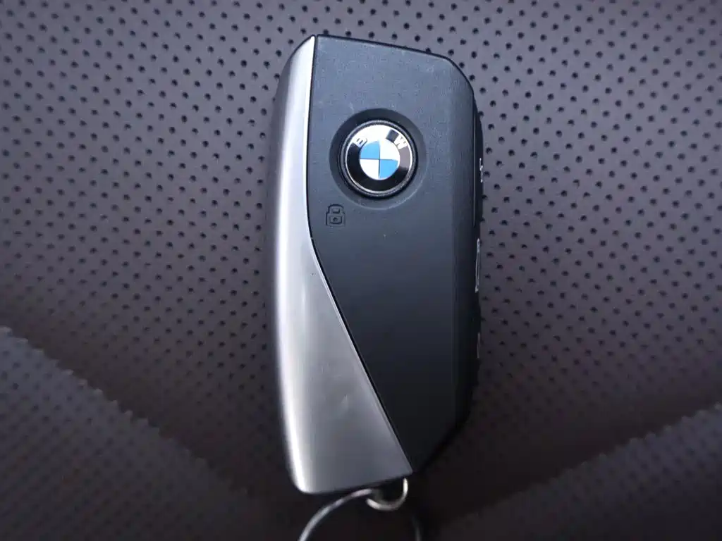 BMW X5 — миниатюра 26