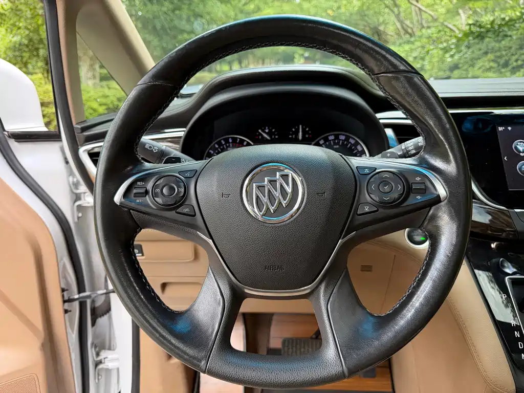Buick GL8 — миниатюра 7