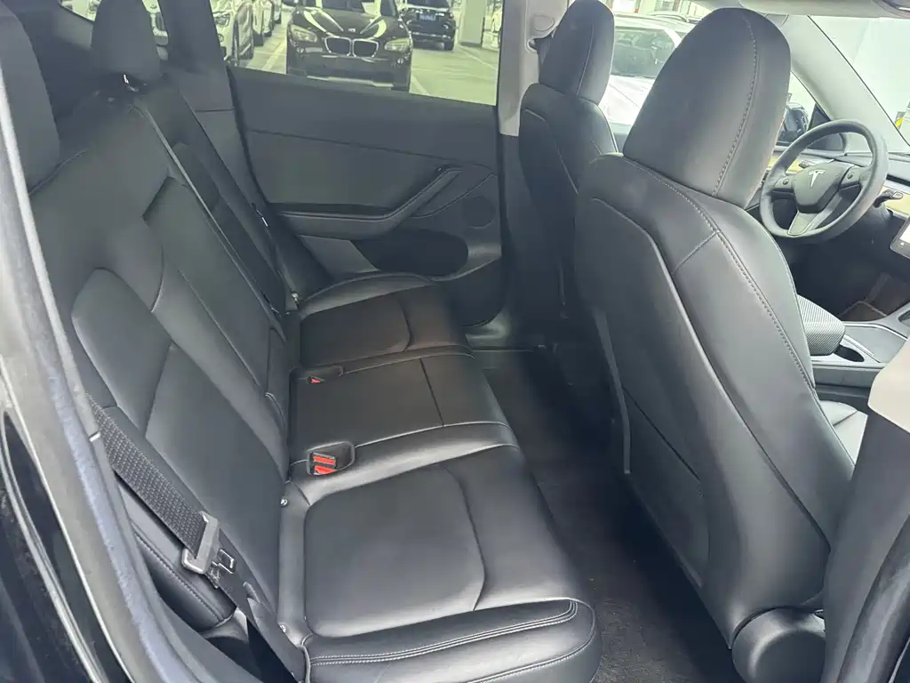 Tesla Model Y — миниатюра 8