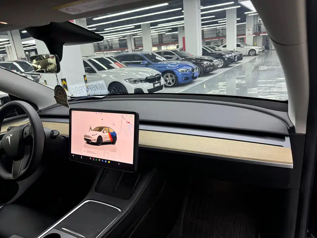 Tesla Model Y — миниатюра 10