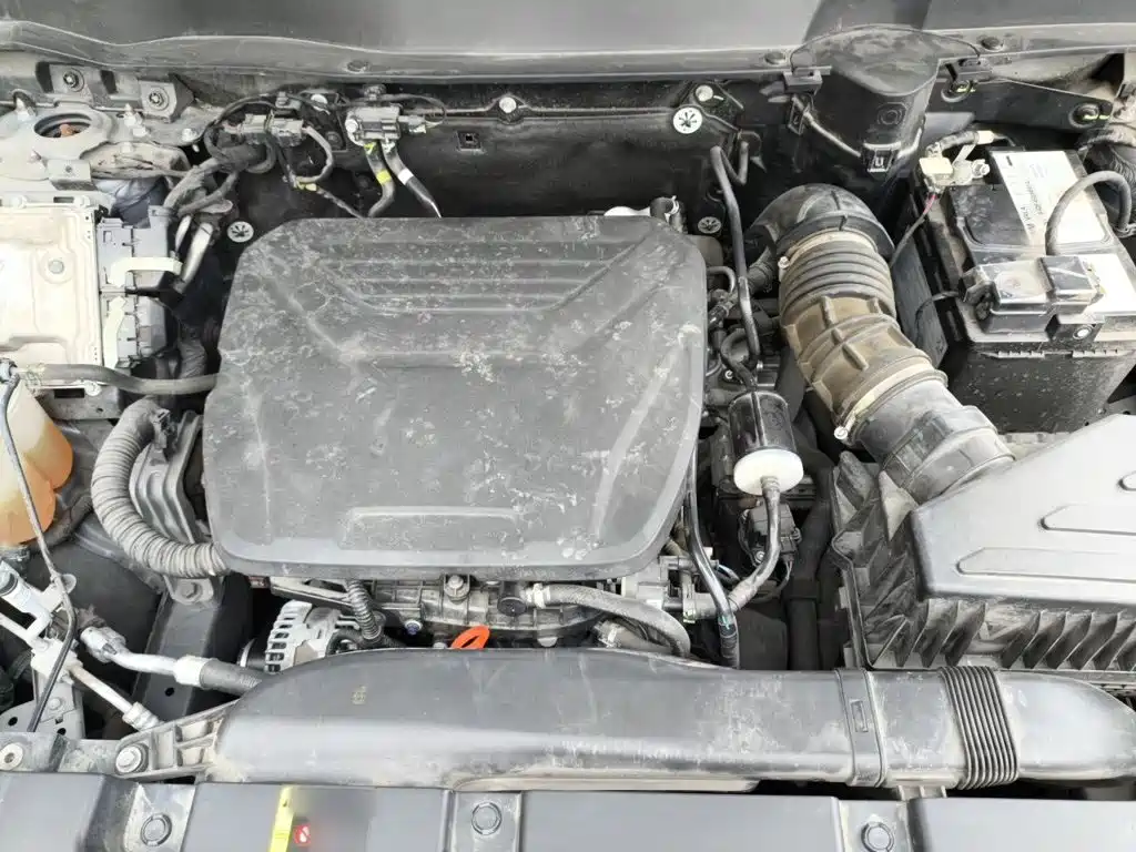 Haval Big Dog — миниатюра 11