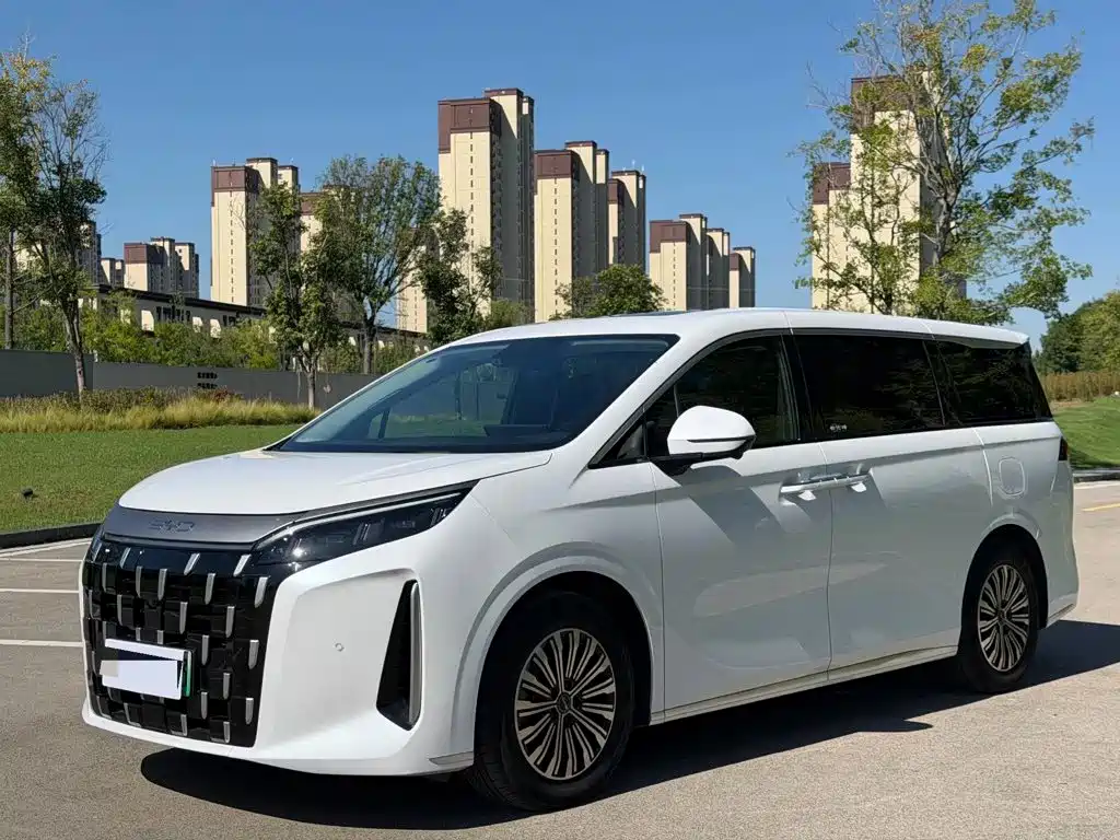 BYD M9