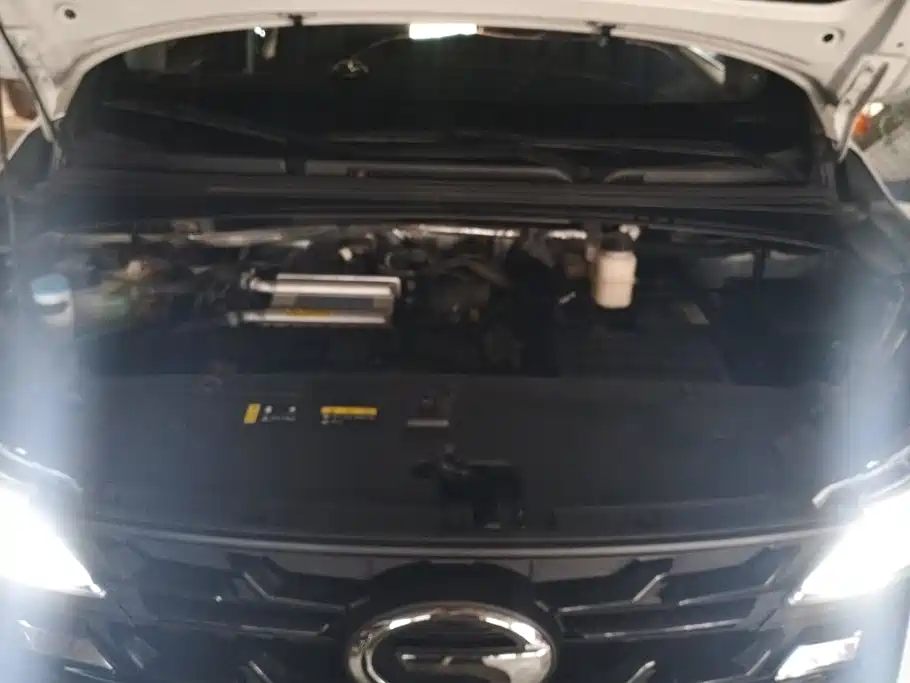 GAC Motor Trumpchi M6 — миниатюра 10