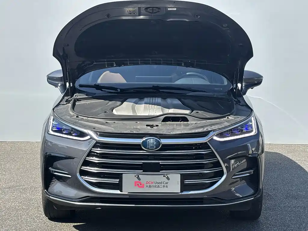 BYD Tang New Energy — миниатюра 9