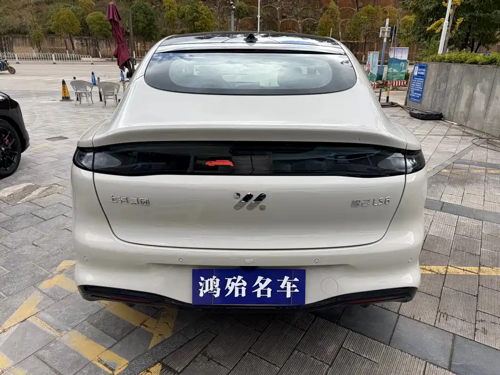 ZHIJI AUTOMOBILE ZHIJI LS6
