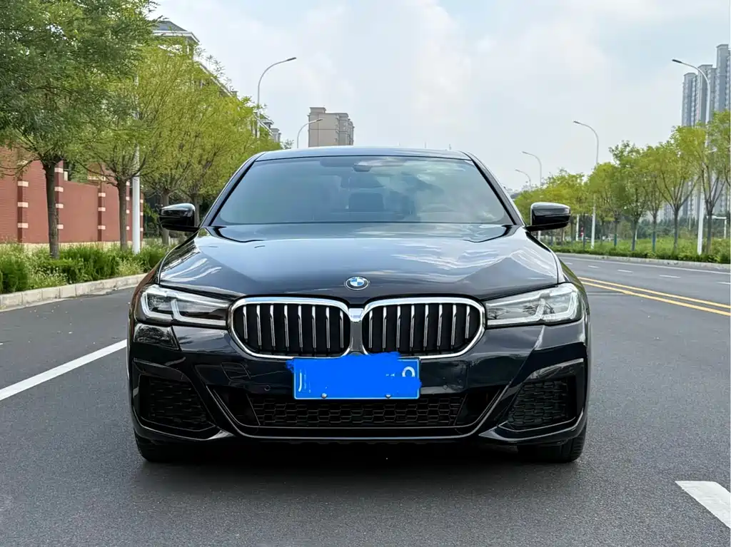 BMW 5 Series — миниатюра 2