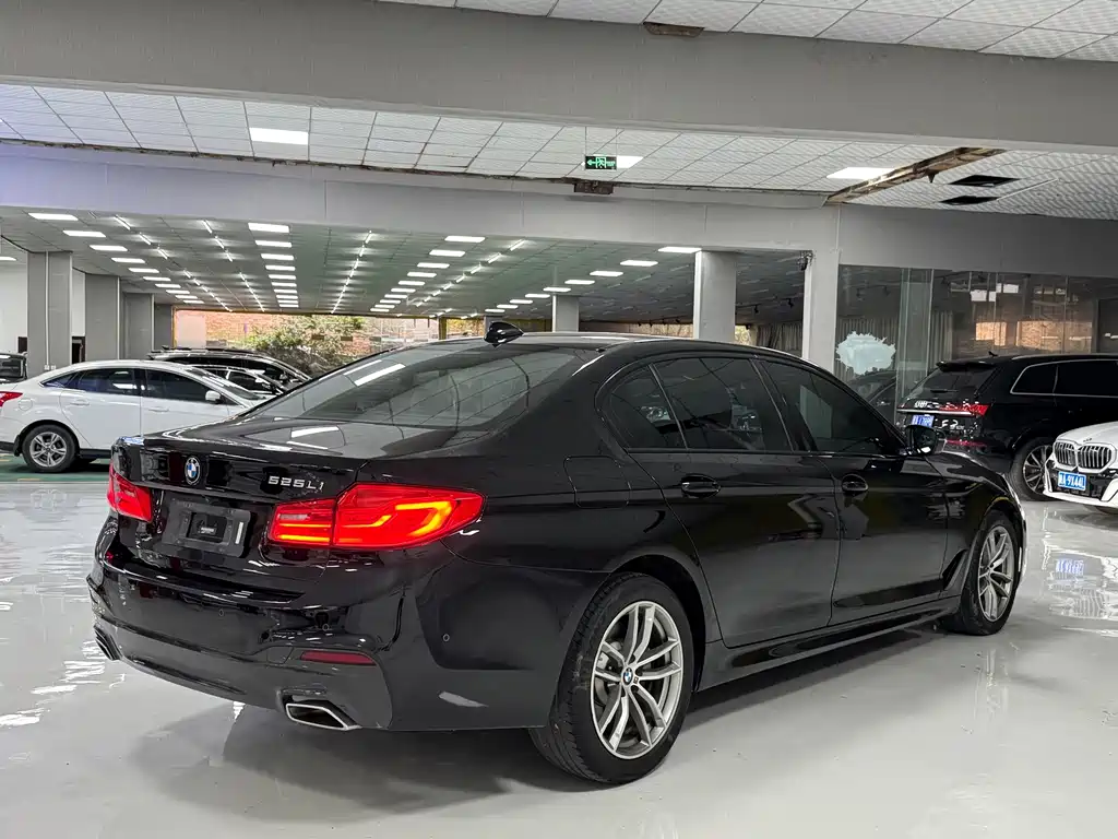 BMW 5 Series — миниатюра 9