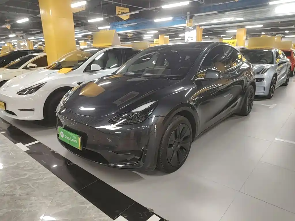 Tesla Model Y — миниатюра 2